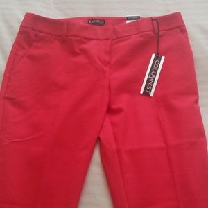 Express Dress Pants